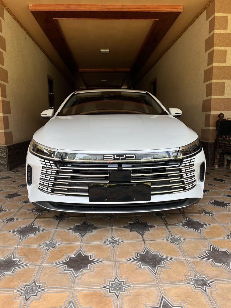 BYD Chazor 120KM FLagship
