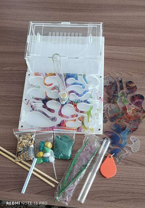 Муравьиная ферма, формикарий