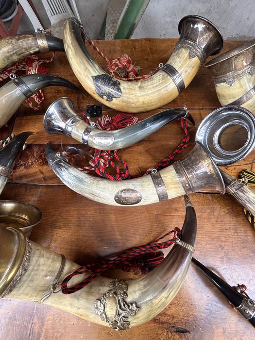 Колекция антични рогове