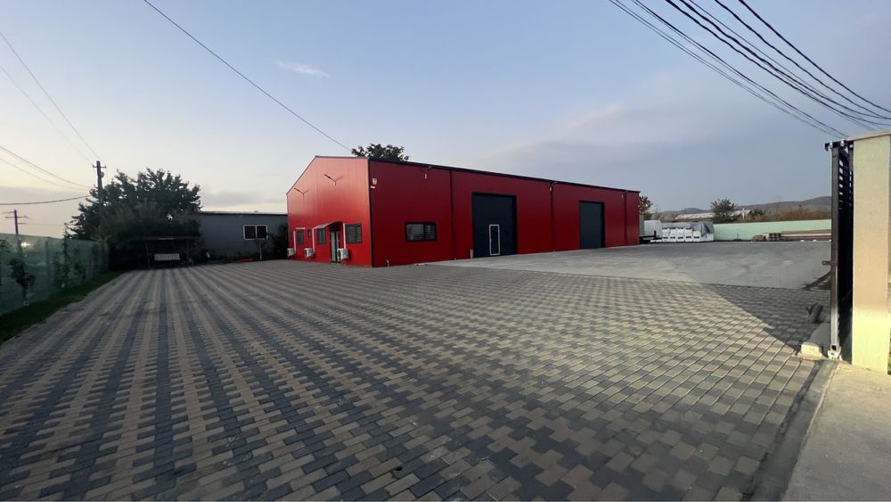 Oferta seminte porumb si floare