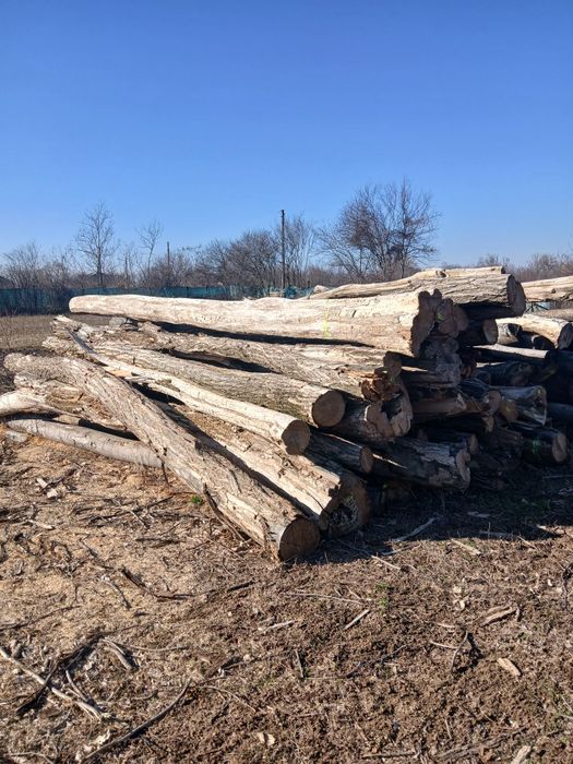 Lemne  de vanzare pentru foc