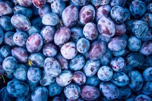‼️super oferta‼️prune de țuică pălincă rachiu