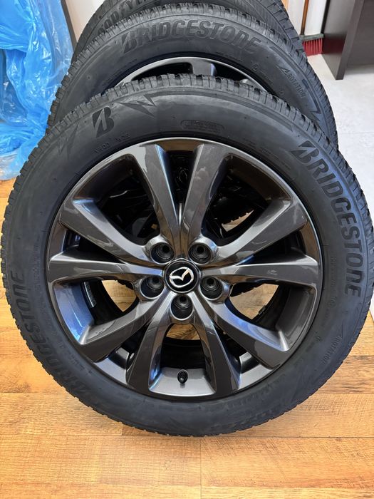 Roti Iarna, Jante Aliaj R18