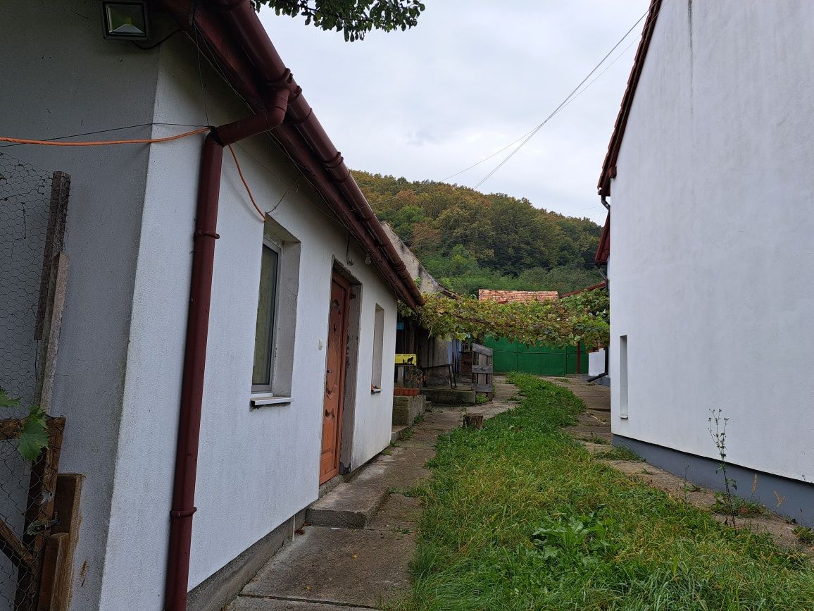 Casa la Hasag, Sibiu