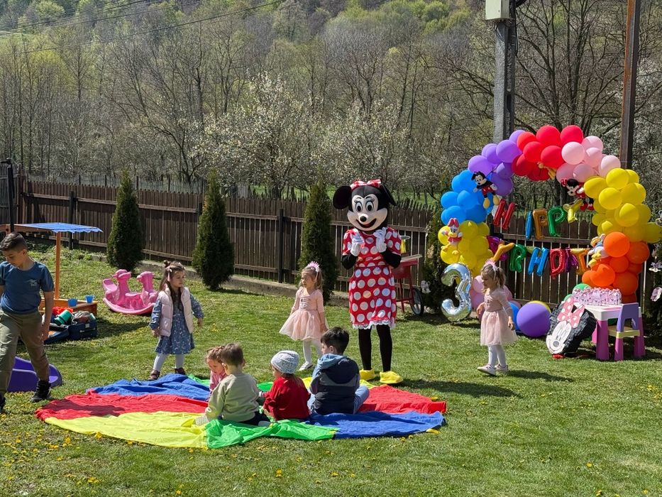 Animatori Petreceri Copii