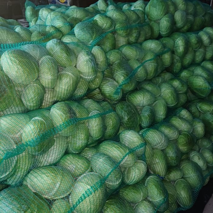 Varzā platā de toamnā