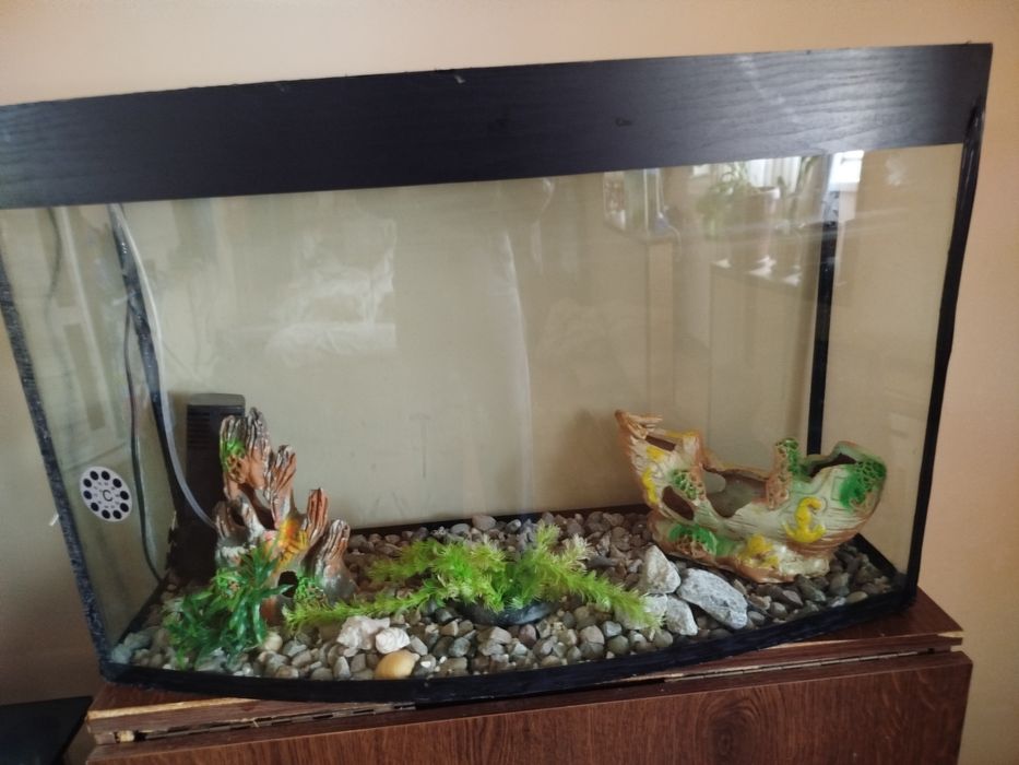 Отдам .самовывоз. не для воды