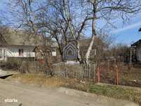 Teren central,  Ilisesti, Suceava