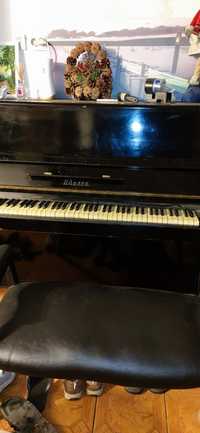 Pianina Odessa  85 clape