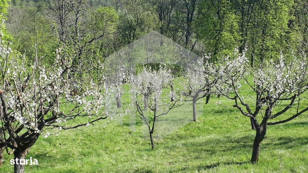 Teren de vanzare - Extravilan - 4288mp - Gusterita - 0% Comision