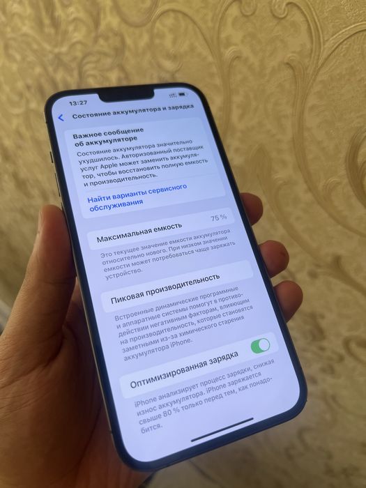 iphone 13 pro max ideal