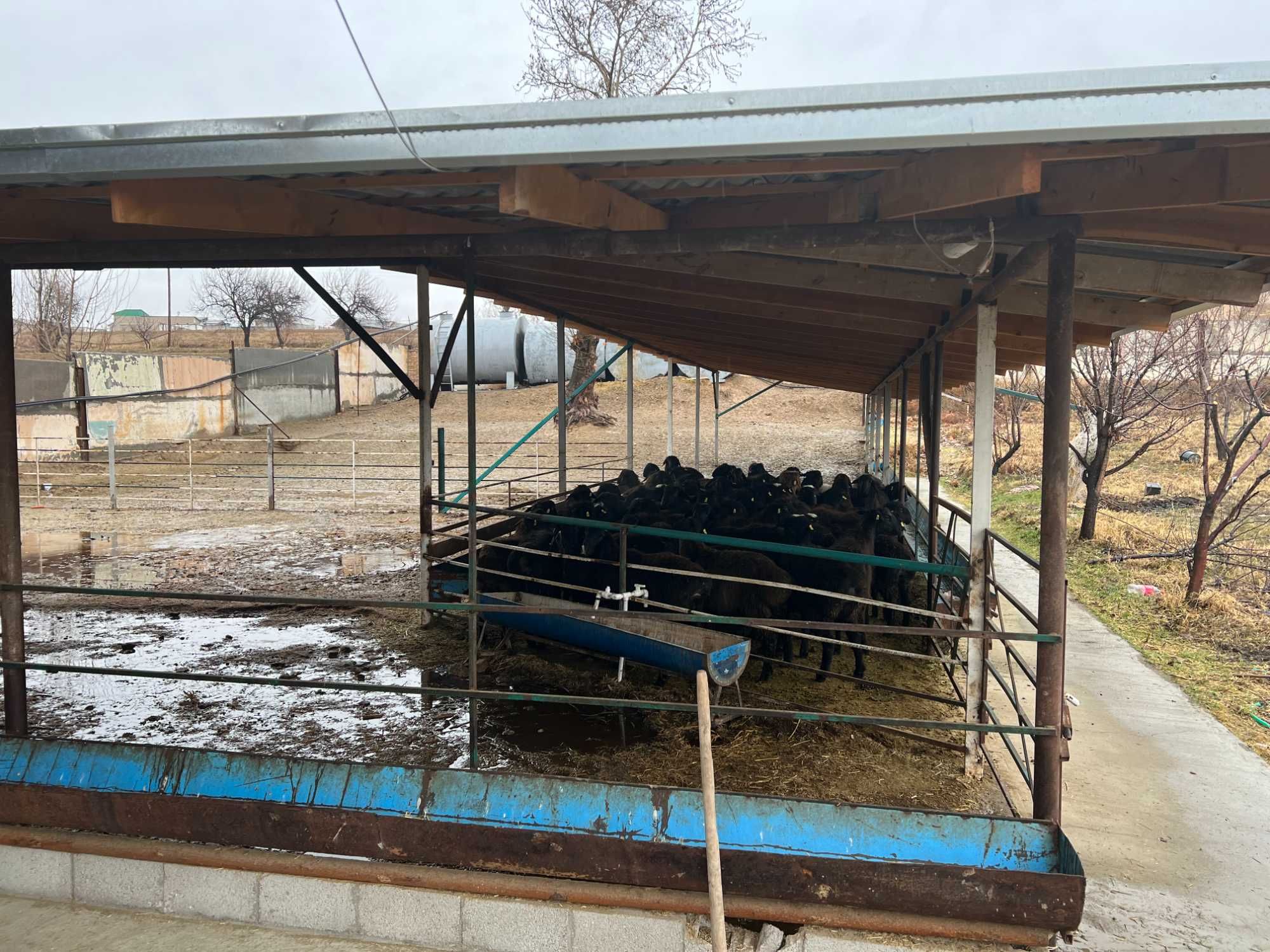 Ferma,bog' yoki kottedj qurish uchun moljalangan 4 gektar joy.