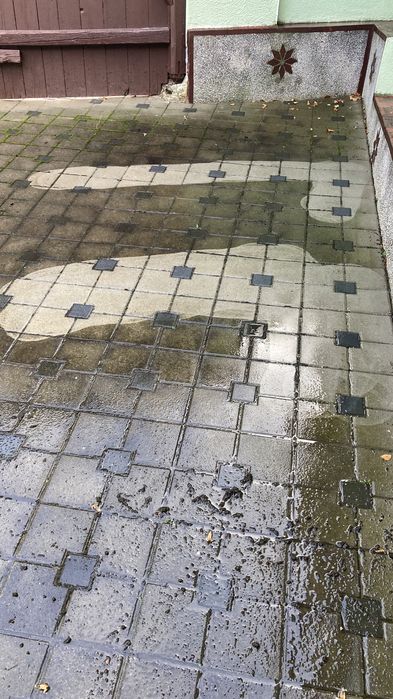 Spalat/curatat/intretinut pavaje/fatade/alei/terase/garduri