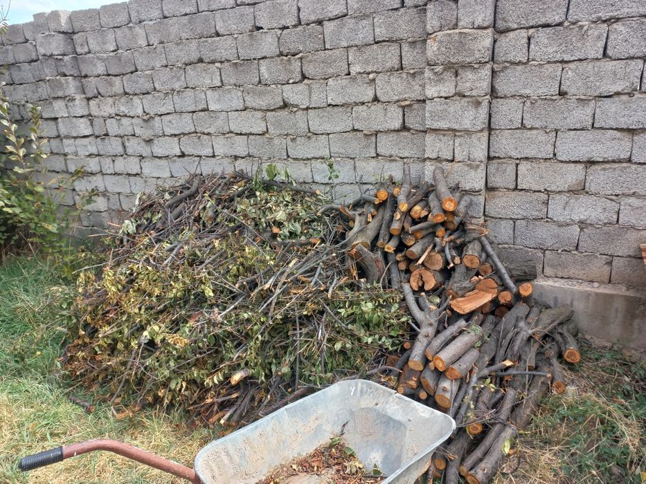 Отын сатамын, осы тұрысы 5000 тенге