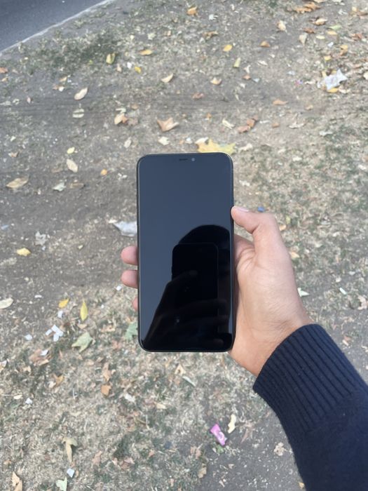 Iphone 11 pro max ideal