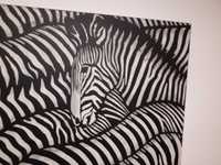 tablou zebre canvas