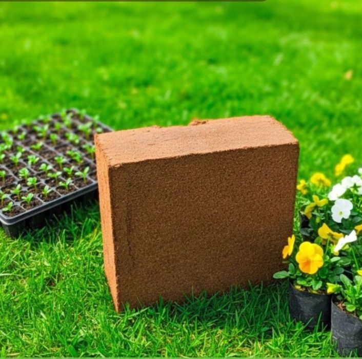 Какосивий торф  5.5кг . Шриланка