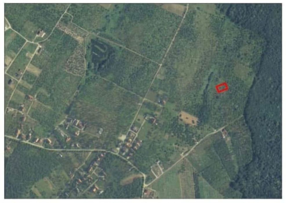 Teren Paleu 2x888 mp lângă pădure