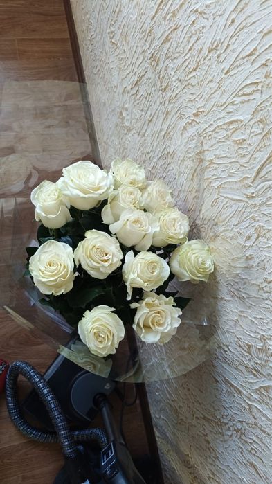 Продается! Цветы белая роза б/у