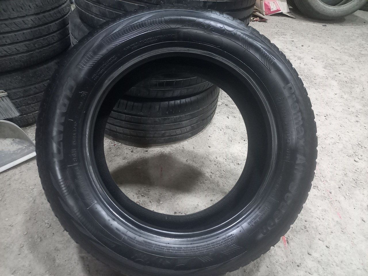 Continental  Xolati yaxwi Bittasi yamogi bor 140$