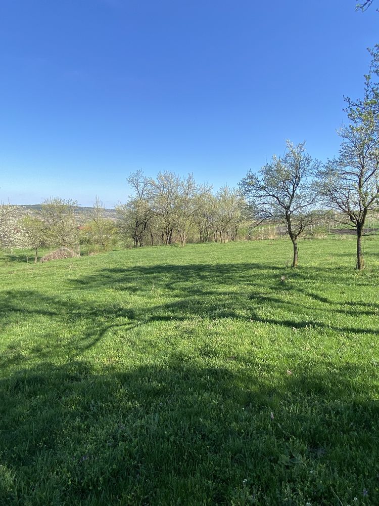 Vand teren pe str Valea Chintaului  , Cluj Napoca   7721 mp