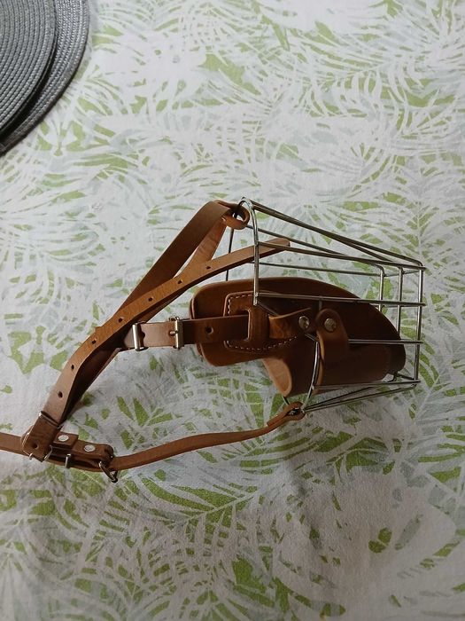 Наморник за куче