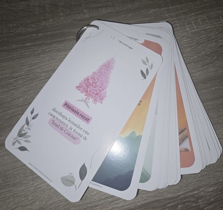 Flashcarduri  Sinopsis RezidentiatMadalina