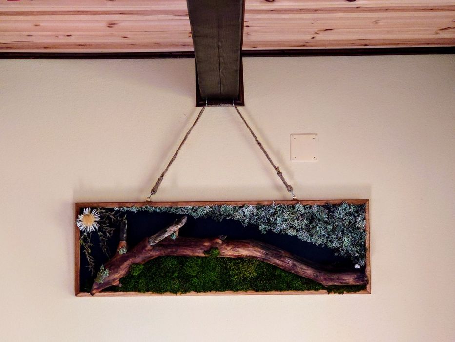Decor perete din mușchi natrual