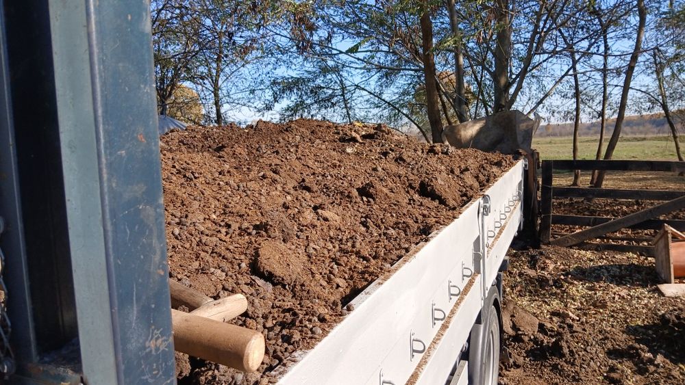 gunoi mranita de oaie