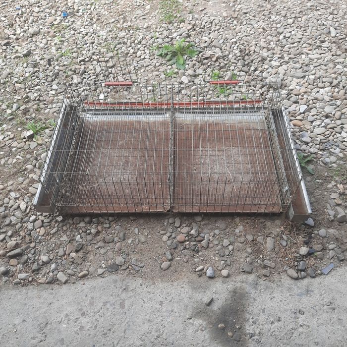 Cușcă 50 prepelite