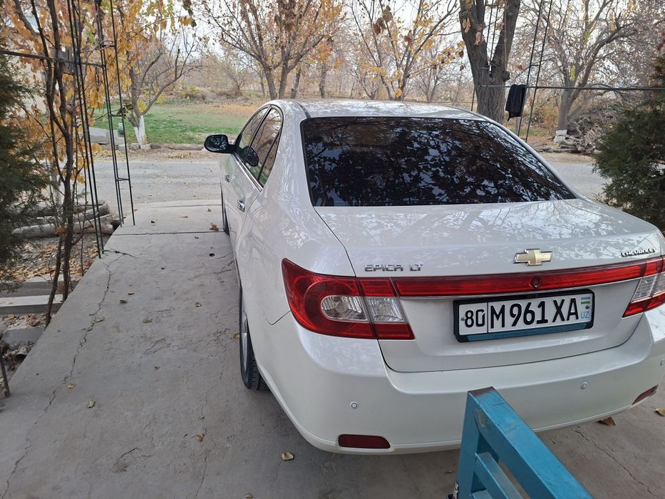 Epica rangi jemchuk, yili 2011