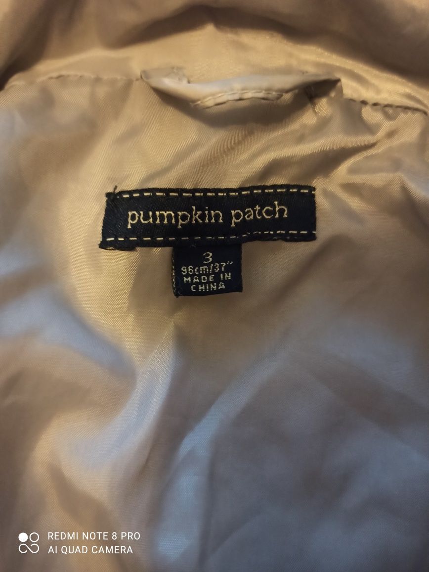Детско якенце Pumpkin patch