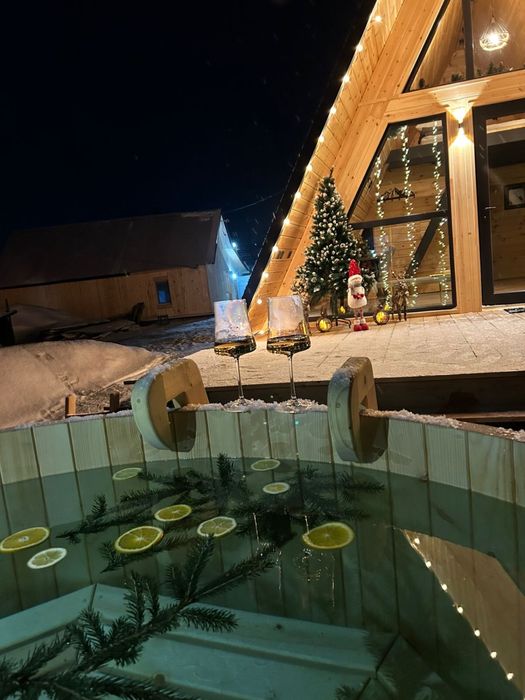 Сдам дом посуточно