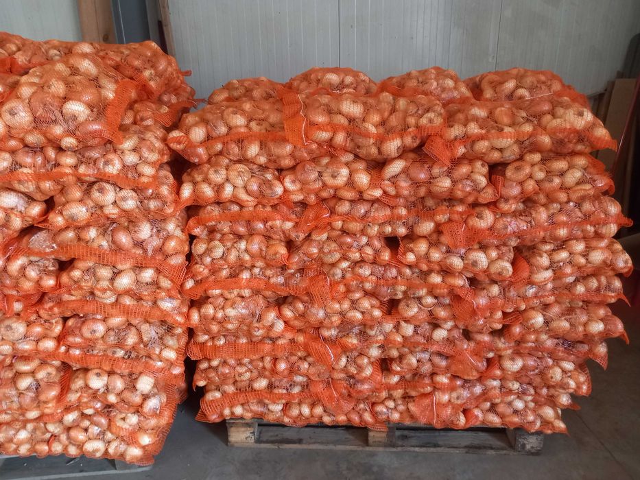 Ceapa consum Stuttgarter