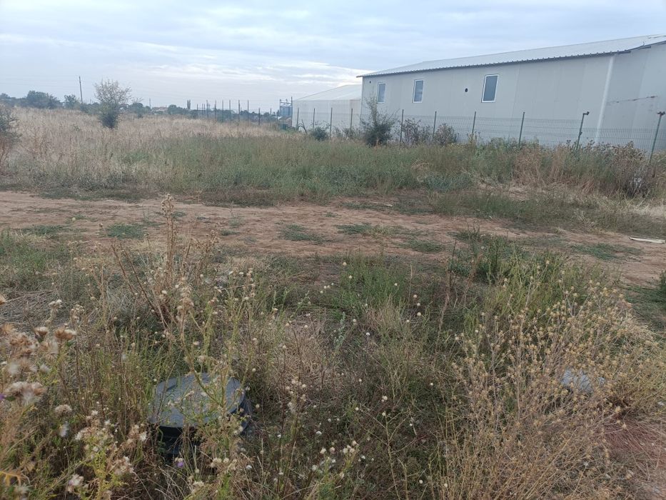 Teren spate top gel Carcea