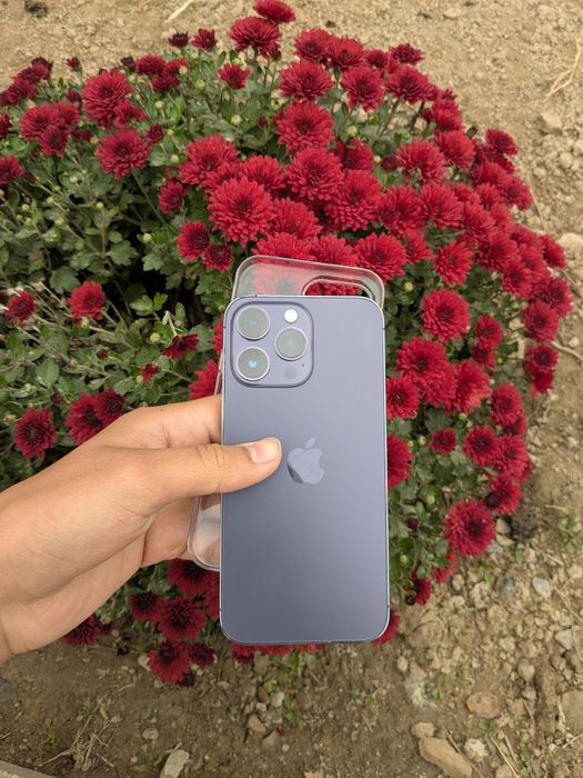 Айфон 14 про макс