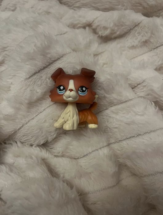 Collie Kitten Dihor Figurine Littlest Pet Shop Lps Generația 7 Wave 4