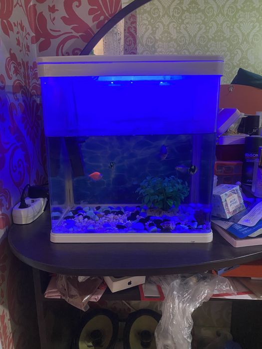 Продам аквариум с подсцветкой