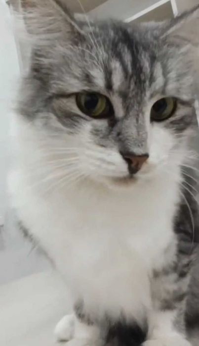 Удивительно добрая девочка ищет дом