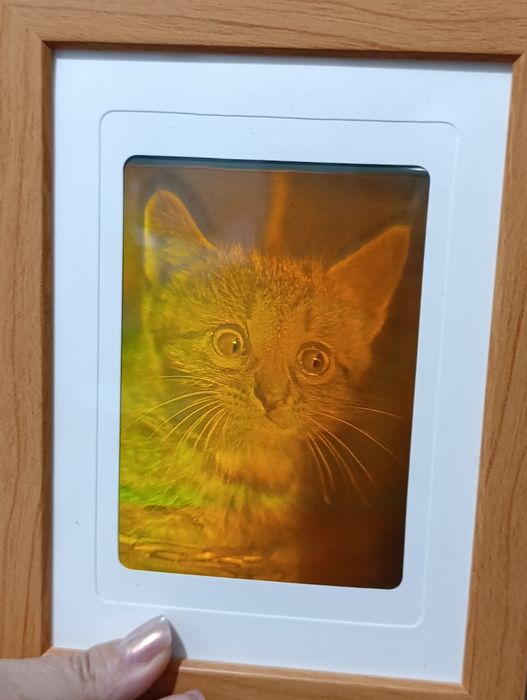 Продам голограммы