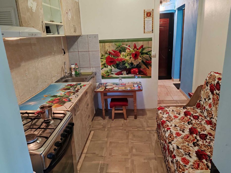 apartament cu 1 camera, confort sporit  si gradina ,tatarasi central