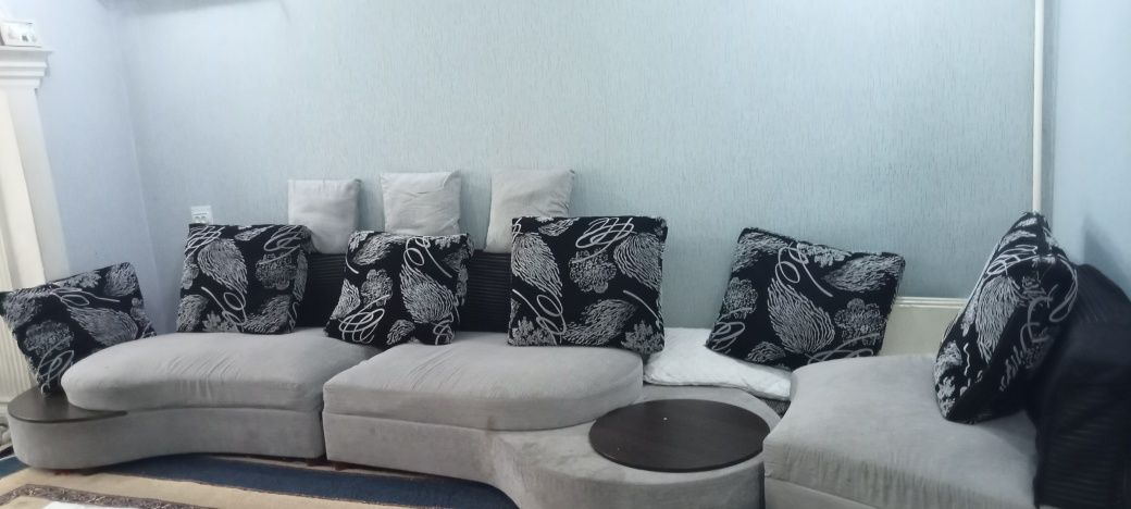 Divan zalga 111111