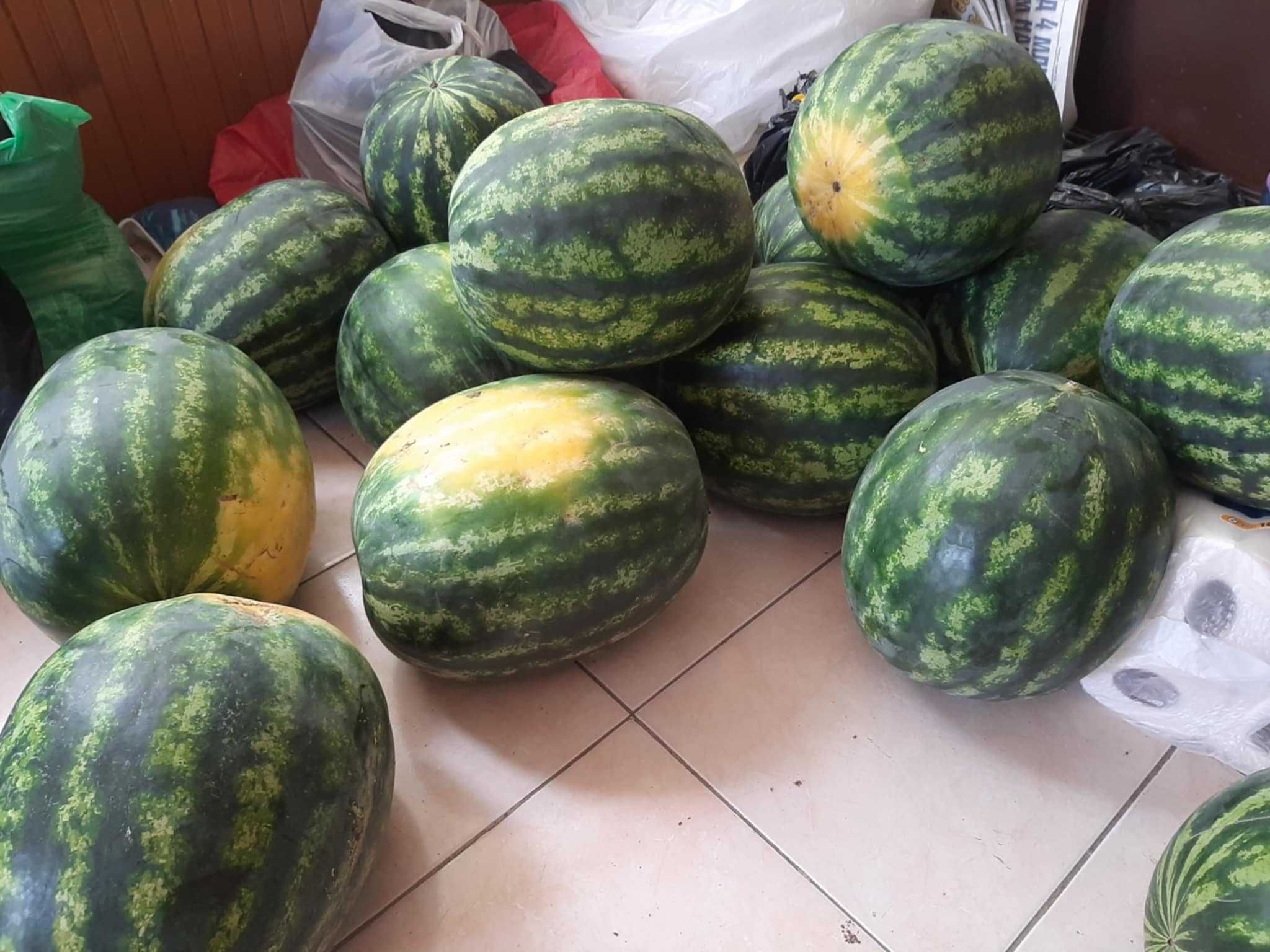 Продавам дини сорт Романза