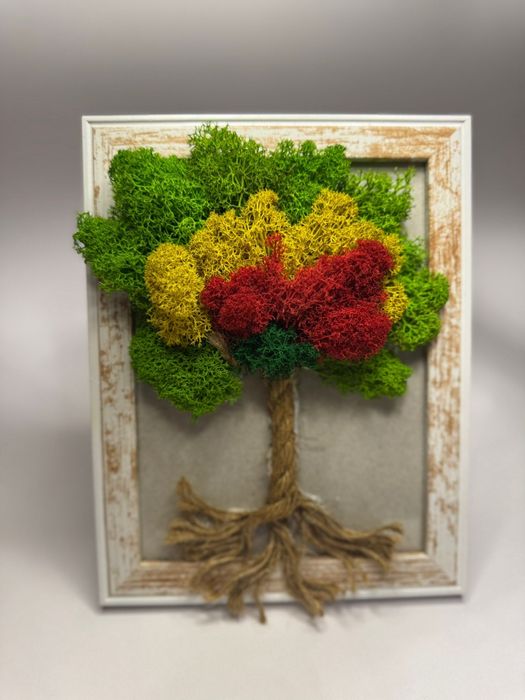 Vând tablouri licheni stabilizați