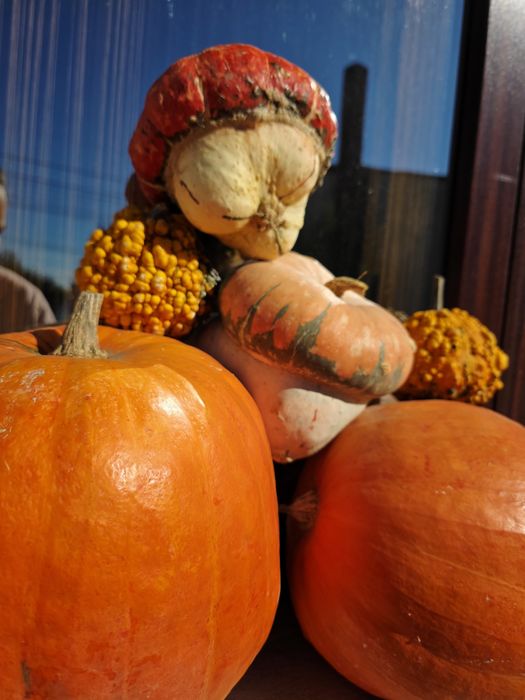 Dovleci Halloween