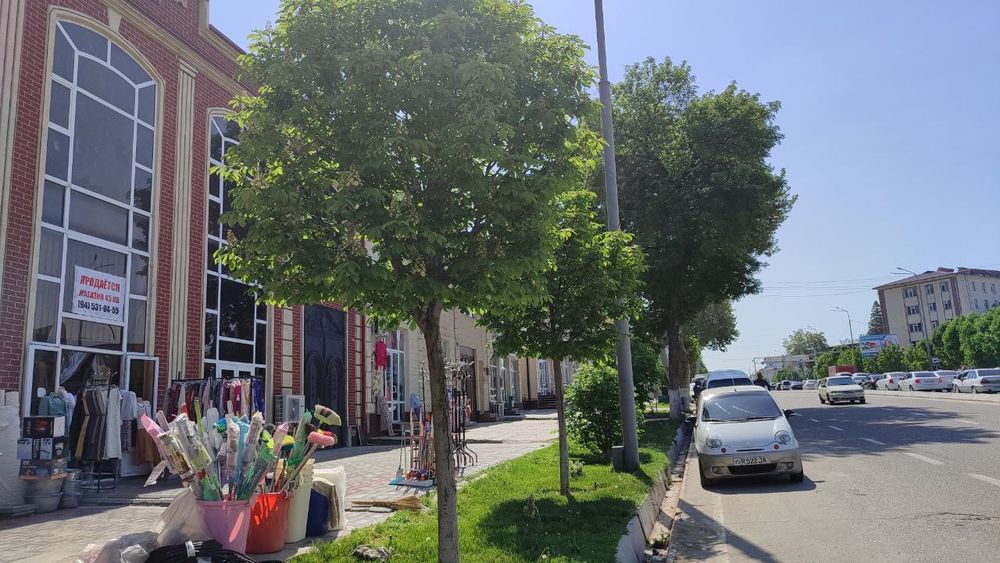 Продается магазин