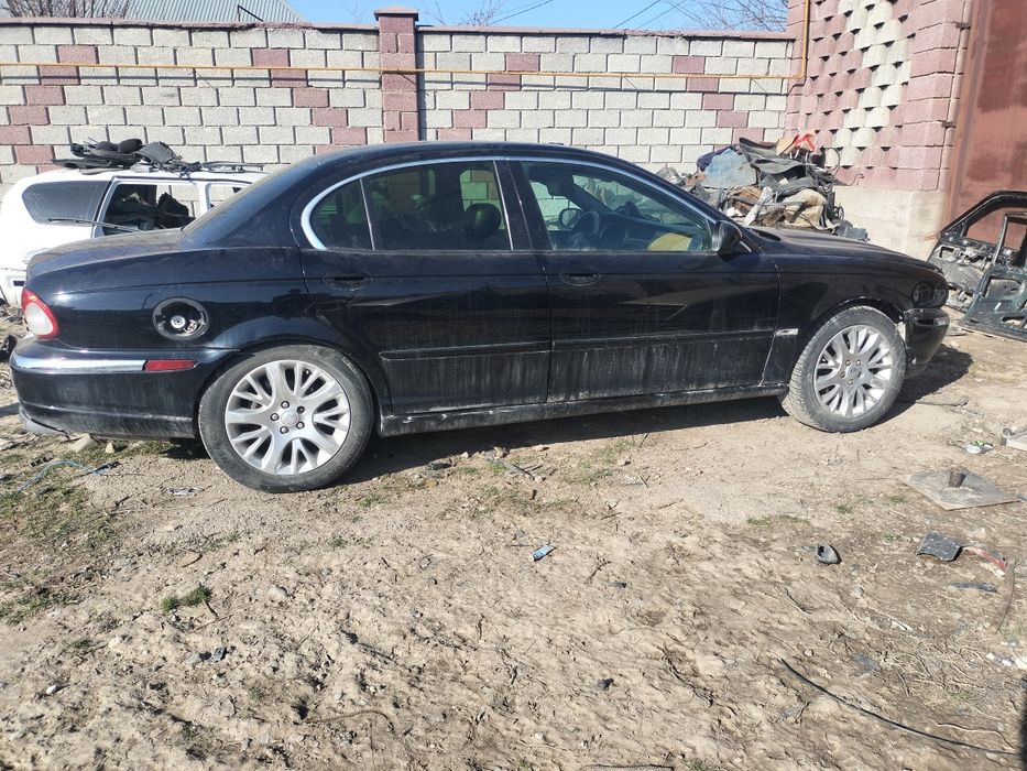 Ягуарга есыктер бар