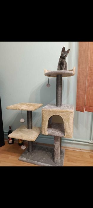 Căsuța de joaca pentru pisici