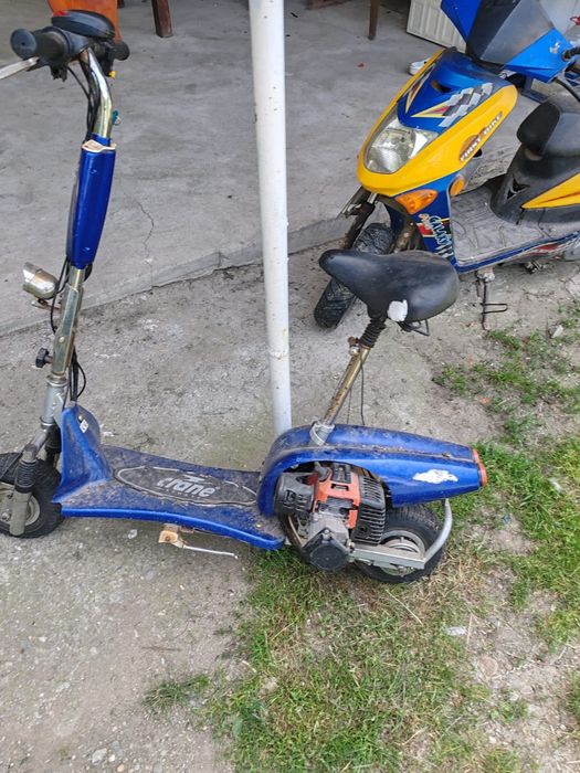Trotineta și scuter
