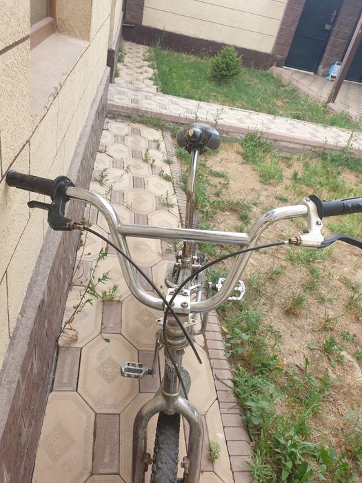 Велик сост 50/50